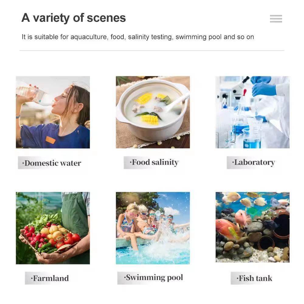 10 In 1 Water Quality Monitor PH EC TDS ORP H2 Fertile Salinity S.G Resistivity Temp Multifunction Water Tester for Aquariums