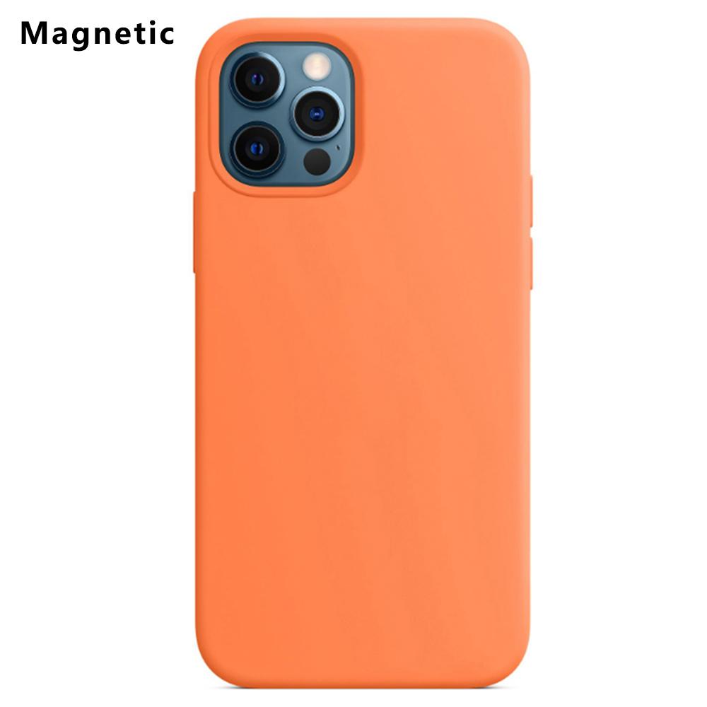 For iPhone 12 Pro Max Compatible with MagSafe Liquid Silicone Phone Back Cover (No Logo)