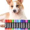Cães – Cuidados de cães