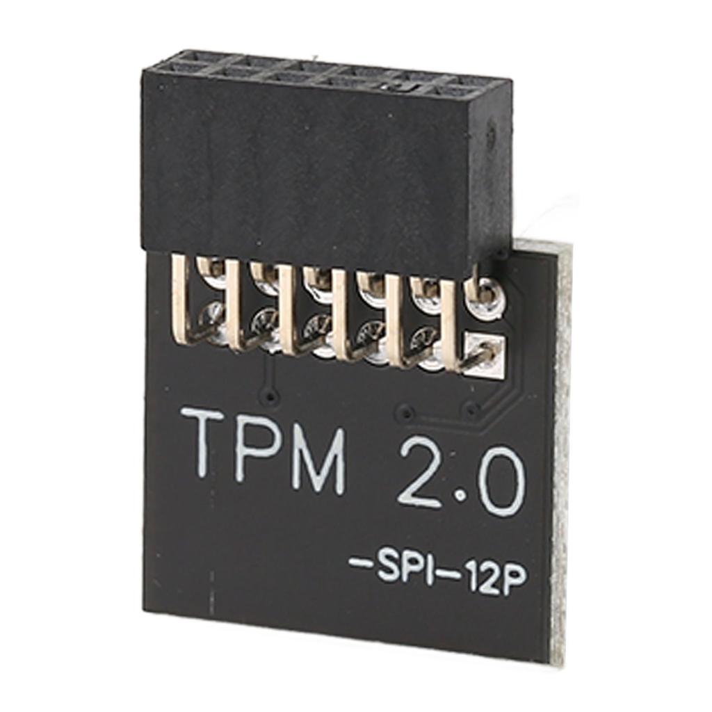 TPM2.0 Encryption Security Module for GIGABYTE Mainboard SPI 12Pin Security Module for WIN 11 2.0