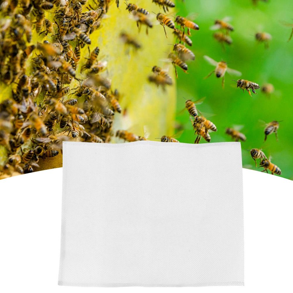 5 ks Včelařství Nerezová ocel Včelí úl Plástev Gázová síťovina Včelařské příslušenství