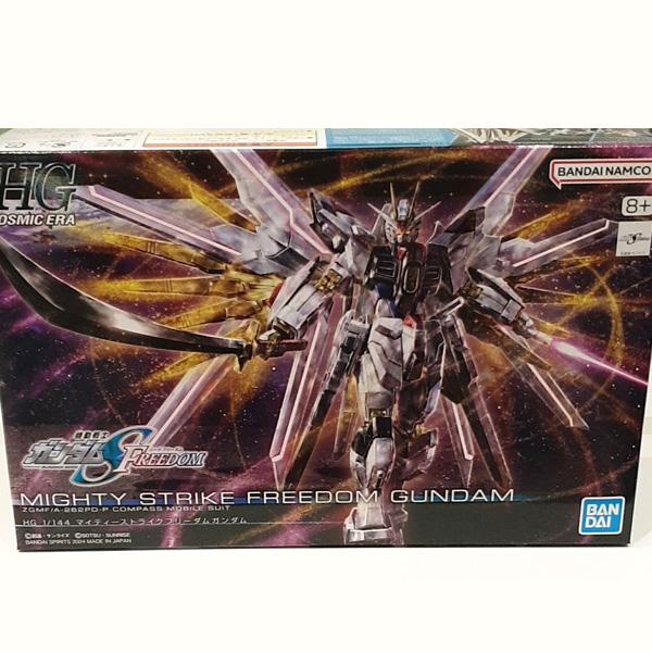 HG Mighty Strike Freedom Gundam One thing