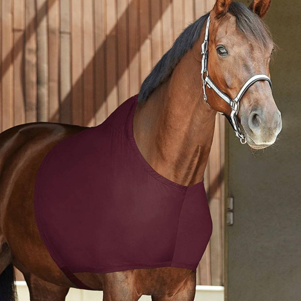 Protège-épaule de cheval Léger Couvre-cou de cheval Creature Gear Respirant Évacuant l'humidité
