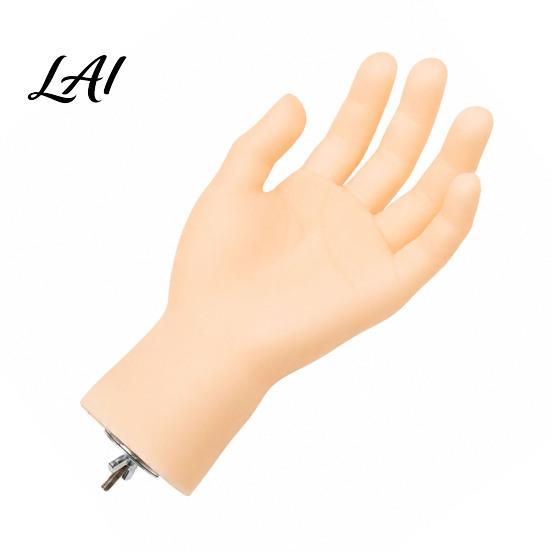 Hand Taming Bird Accessory Hand-Shaped Parrot Perch Realistic Stand with Screw Fastener Canary Interaction Cage Perch for Budgie Cockatiels,