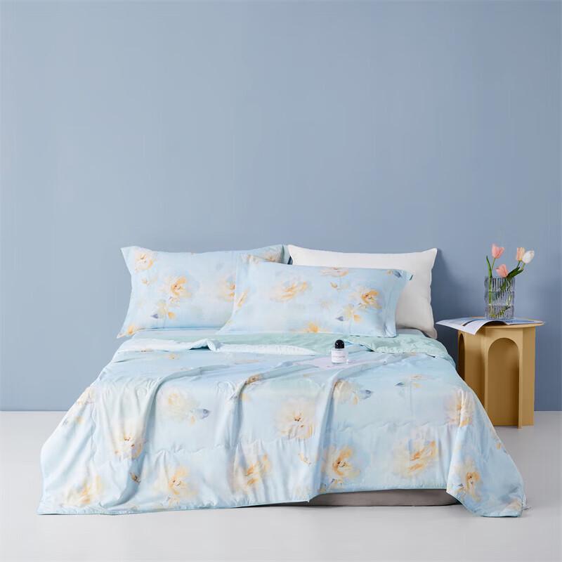 Boyang (BEYOND) Summer Quilt and Sleeping Pillow Set