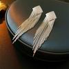 European and American Personalized Metal Fringed Earrings Niche Simple Long Stud Earrings High-end Light Luxury Earrings Women