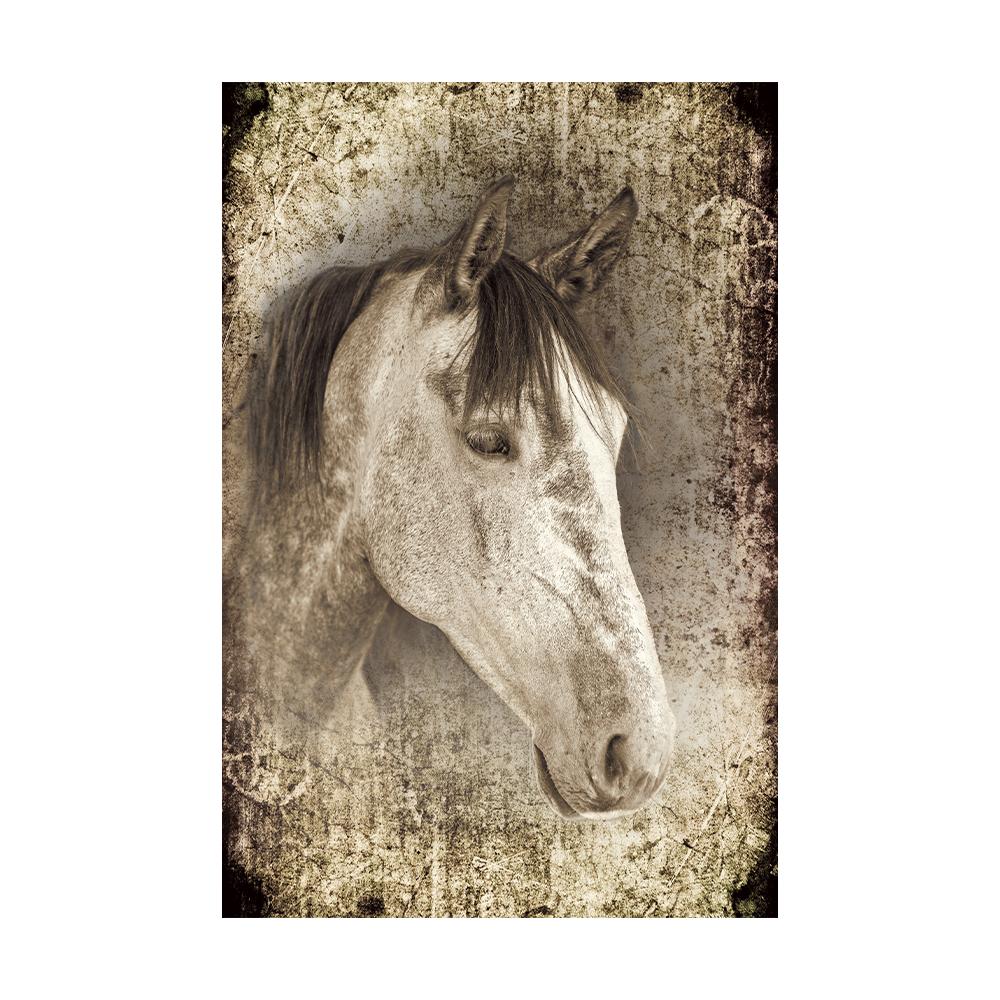 Black and White Horse Poster Print Canvas Painting Horses Running Animal Wall Art Picture for Farmhouse Room Home Decor