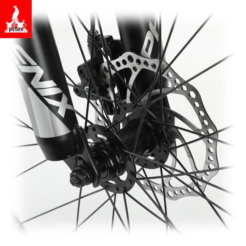 Phoenix 26-inch Variable Speed Bicycle