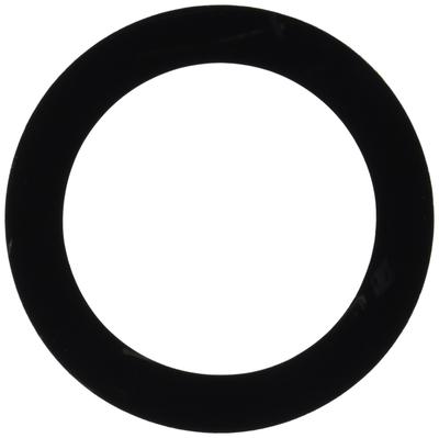 REMO Remo Hole Cut Hole Cut Ring / [5.5" Ring] DM-5