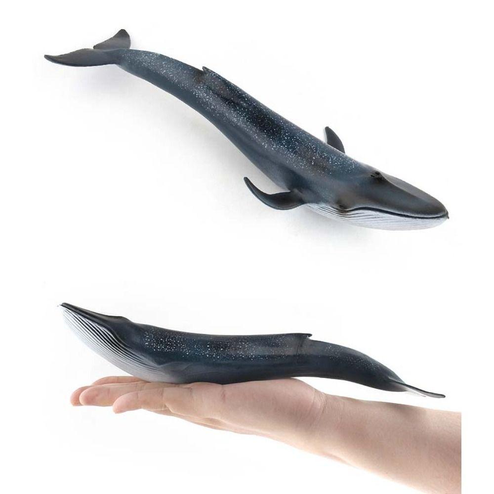 Sperm Whale Marine Animal Model Simulation Sea Life Figure Collection Whale Figurines  Home Decor