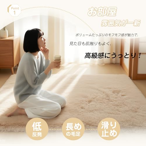 AYO Rug, Carpet, Shag Rug, Thick, Washable, Memory Foam Rug, Living Room Rug, Nordic Style, Fluffy, Non-Slip, All Season (Solid Brown, 120*160cm)