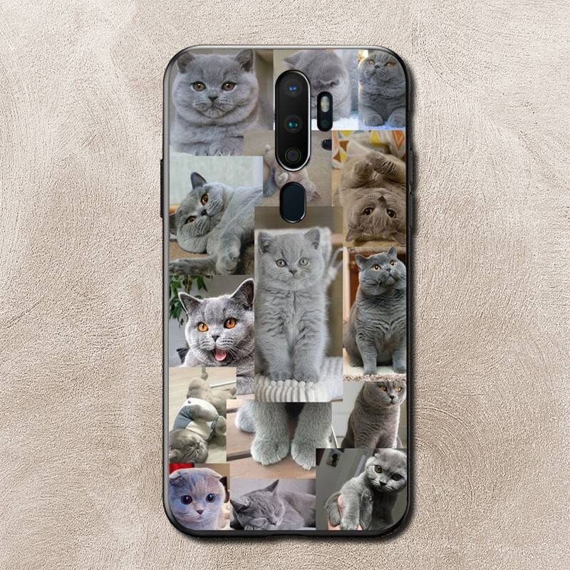 Coque de téléphone Mèmes de chat pour Vivo Y91C Y11 17 19 17 67 81 Oppo A9 2020 Realme c3