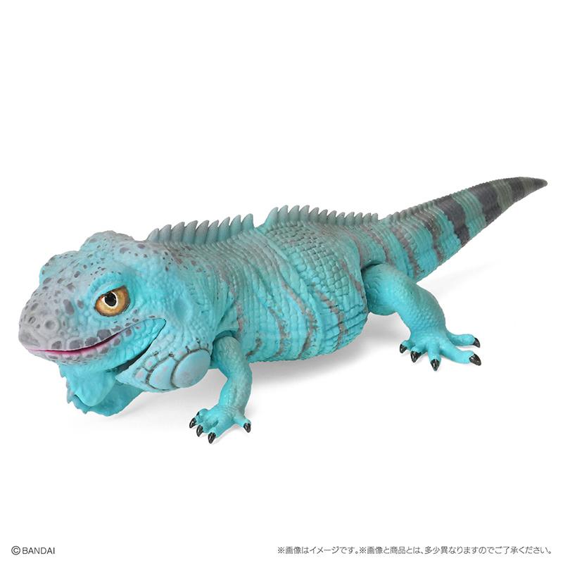 Genuine Popularity Gacha Biological Atlas Common Ameiva Correlophus Ciliatus Joint Movable Action Figure Model Toys