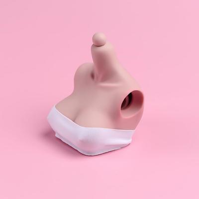 Modely a sběratelství – Sběratelské figurky a dekorativní předměty