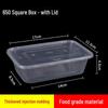 Disposable Square Food Container with Lid