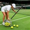   Nut Collector S Size Multi Purpose   Rolling Picker with Telescopic Aluminium Alloy Pole for Tennis  S Chestnuts
