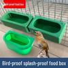 Bird-Proof Food Dispenser & Drinker for Mynas, Thrushes, Parrots, and White-Eyes