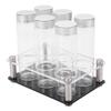 6PCS Coffee Beans Storage Tubes High Borosilicate Glass Coffee Bean Cellars with Display Stand for