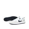 Skate Shoes Nike SB Alleyoop