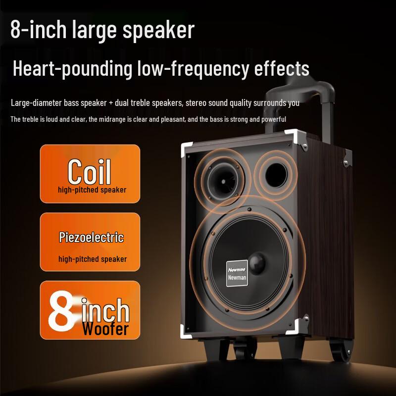 Newsmy N557 Portable Outdoor Karaoke Trolley Speaker (CN Version)