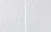 2x GLASS PROTECTIVE PLATE FOR STOVE 40x52 DROPS