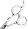 DEEDS Pet Grooming Scissors Made In Japan by a Specialized Scissors Forged Ideal for Dogs and Groomers (5.5 Inches) P9-55, Manufacturer, Finish,