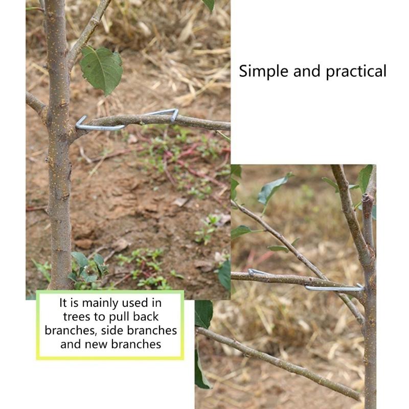 20/50/100Pcs Fruit Tree Branch Fruit Tree Branch Spreader Tree Branch Spreader Puller Tying Machine Farm Tools