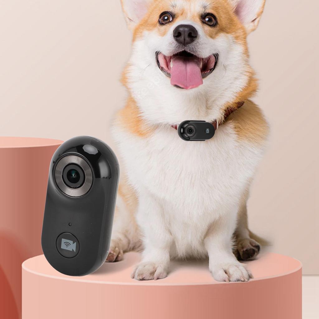 Pet Collar Camera 1080P HD 2.4G Wireless Dog Cat Wearable Video Recorder   Recording Small Action Camera with APP for Outdoor