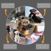 Musoliera Super Metallica Musoliere per Cani Musoliera in Pelle Per Cani di Grossa Taglia