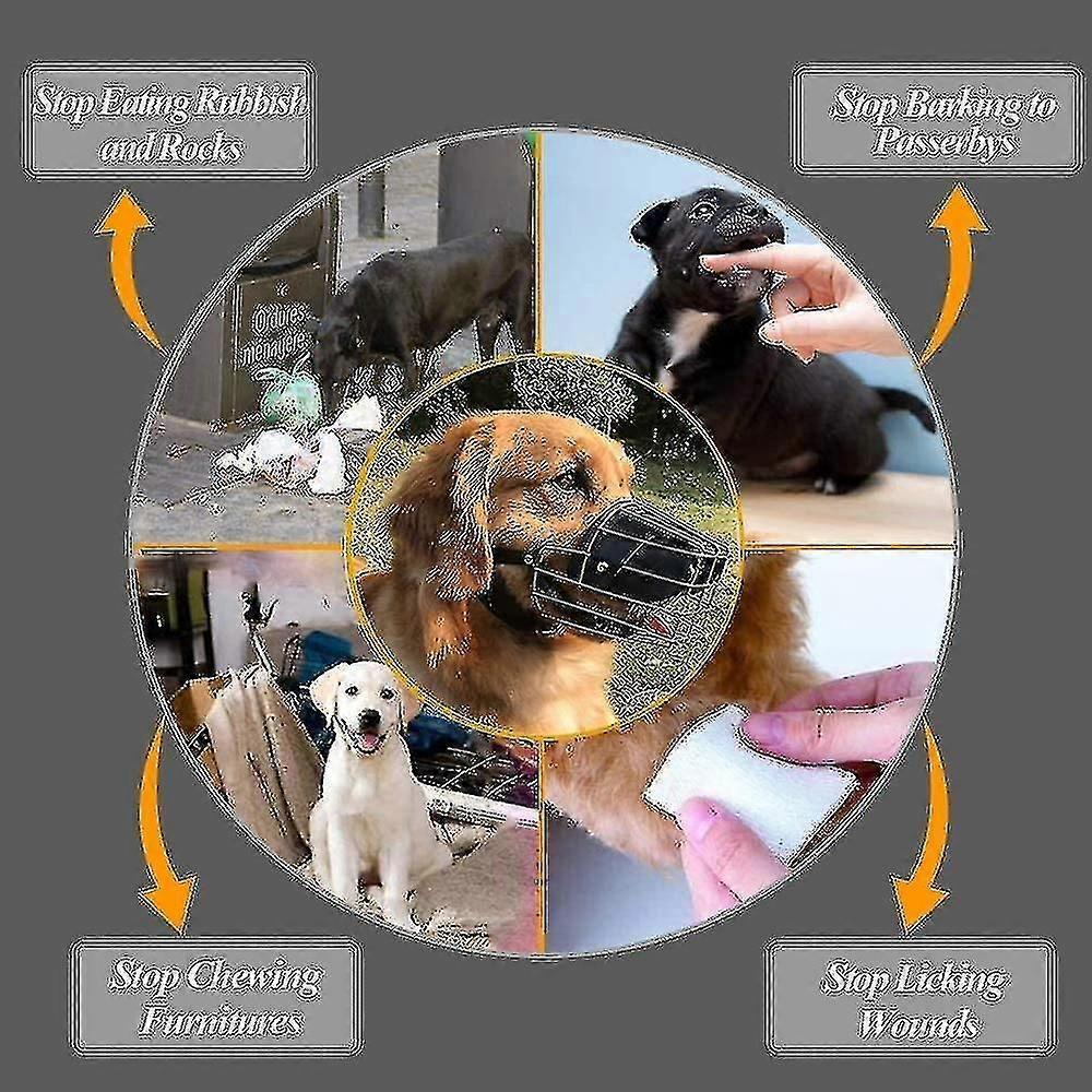 Musoliera Super Metallica Musoliere per Cani Musoliera in Pelle Per Cani di Grossa Taglia