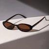 1Pc Sexy Small Oval Sunglasses Retro Leopard Print Frame Fashionable Travel Vacation Accessories