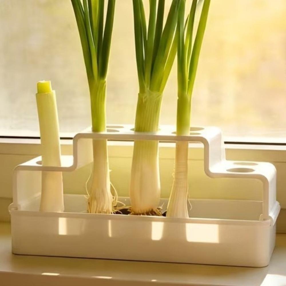 Ventilated Hydroponic Vegetable Box Plastic Soilless Cultivation Pot  Indoor Gardening белый