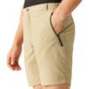 Regatta Mens Leesville II Walking Shorts