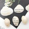 20 Natural Shell Conches with Holes for DIY Bracelet Charms