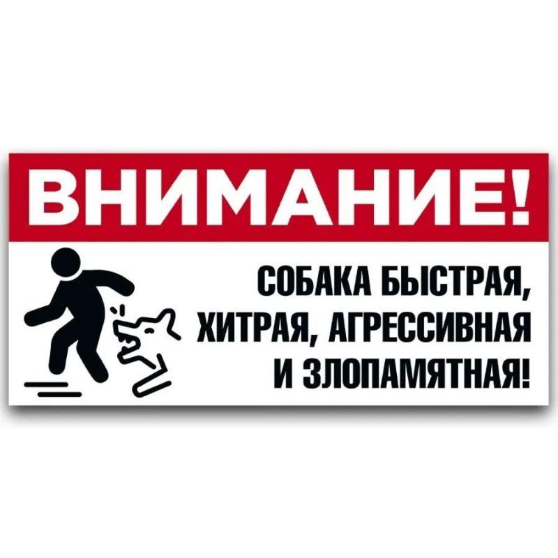 Vorsicht Böser Hund Metallschild, Zauntür Warnschild 30x15cm