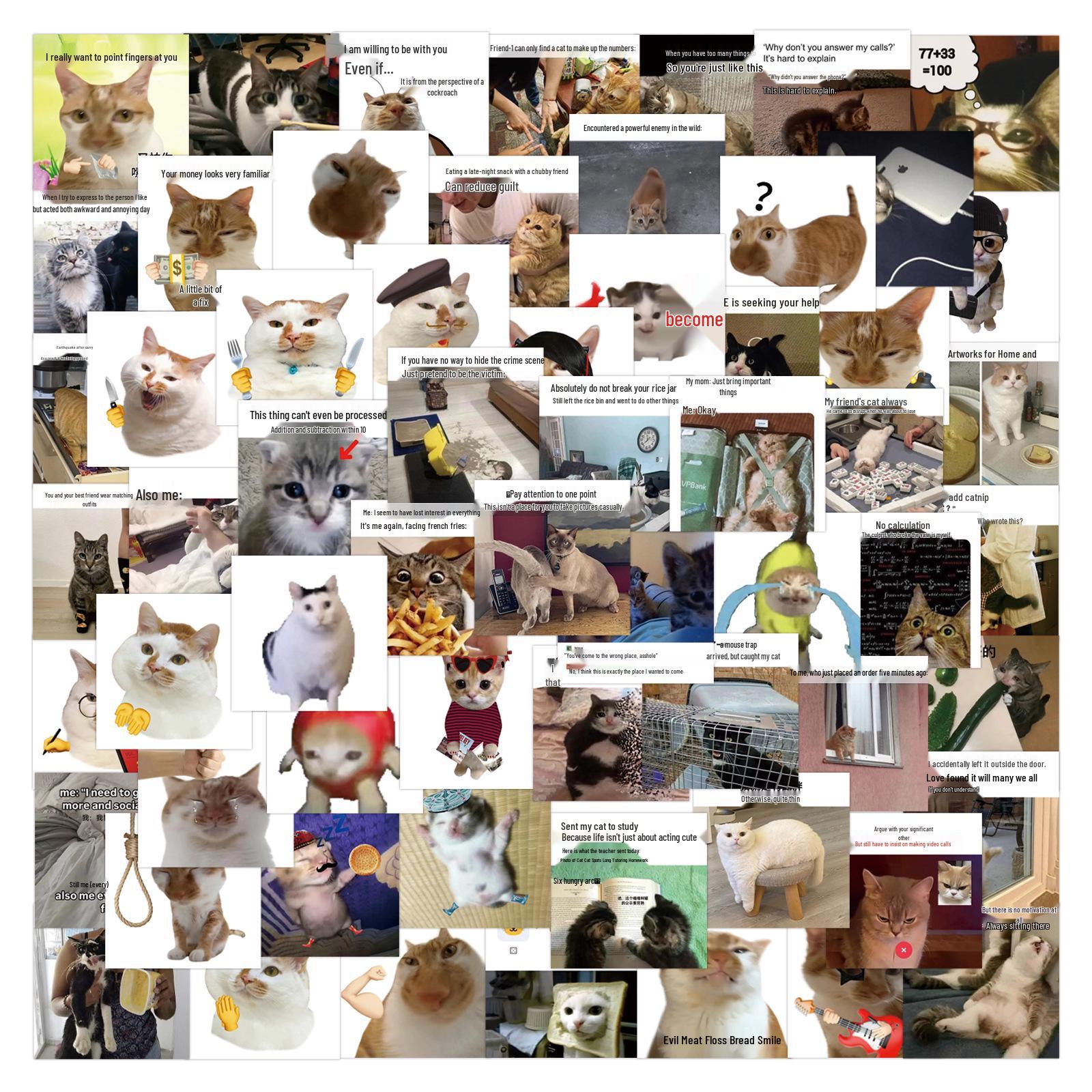

75 Cat Meme Sticker Pack: Fun, Prank & Mood-Boosting Decals for Phones & Tablets