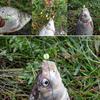 Fishing Beads Carp Fishing Rig Practical Round Sea Fishing Accessories