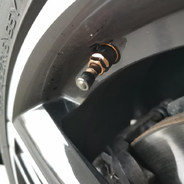 Professional Tire Pressure Valves Stem Real Time Monitoring System Automotive Safety Valves Stem Easy to Use for Car