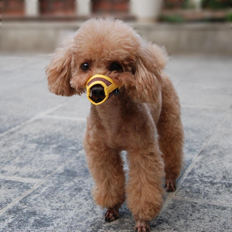Dog Muzzle Puppy Small Medium Large Dog Leatherette Nylon Mesh Muzzle Pet Muzzle