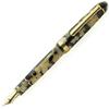 Platinum #3776 CELLULOID Fountain Pen ISHIGAKI Fine Nib PTB-35000S#67-2