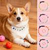 2 Pcs/Set Men Women Bracelet Necklace Set Colorful Beads English Letter Print Adjustable Clamps Pet Necklace Set