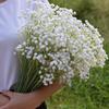 Bride Hand Bouquets Artificial Wedding Flower Simulation Babysbreath Holding Bouquet Decoration