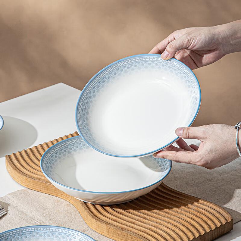 Lini'en Relief Underglaze Ceramic Dinner Plate Set