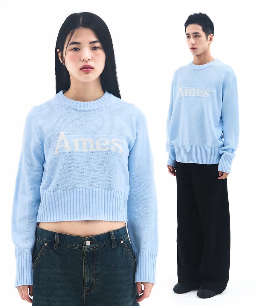 AMES-WORLDWIDE Basic Pullover Knit Light Blue
