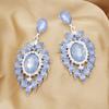 Gorgeous Rhinestone Crystal Dangle Earrings for Women Chunky Hypoallergenic Earrings Gift Jewelry Fashion