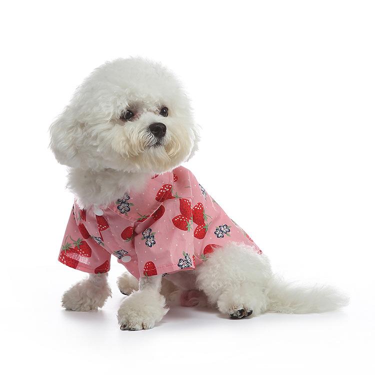 Dünne Kleidung aus Wassermelonen-, Erdbeer- und Obstserien für Haustiere im Frühling und Sommer, Sommerhemden für Hunde und zweibeinige Kleidung für Haustiere