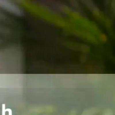 ספורט ובידור – תיקי ספורט