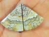 15Cts. AAA Crazy Lace Agate (17X20X03 Mm Each) Fancy Cabochon Matched Pair SK-3069