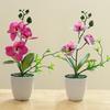 Artificial Flower Potted Simulation Butterfly Orchid Wintersweet Bonsai Home Decoration Simulated Flower Fake Potted Plants