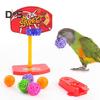Sada hraček pro papoušky, ekologická, bez zápachu, barevná basketbalová hračka, mini nákupní vozík, papoušek, broušení, žvýkací hračky